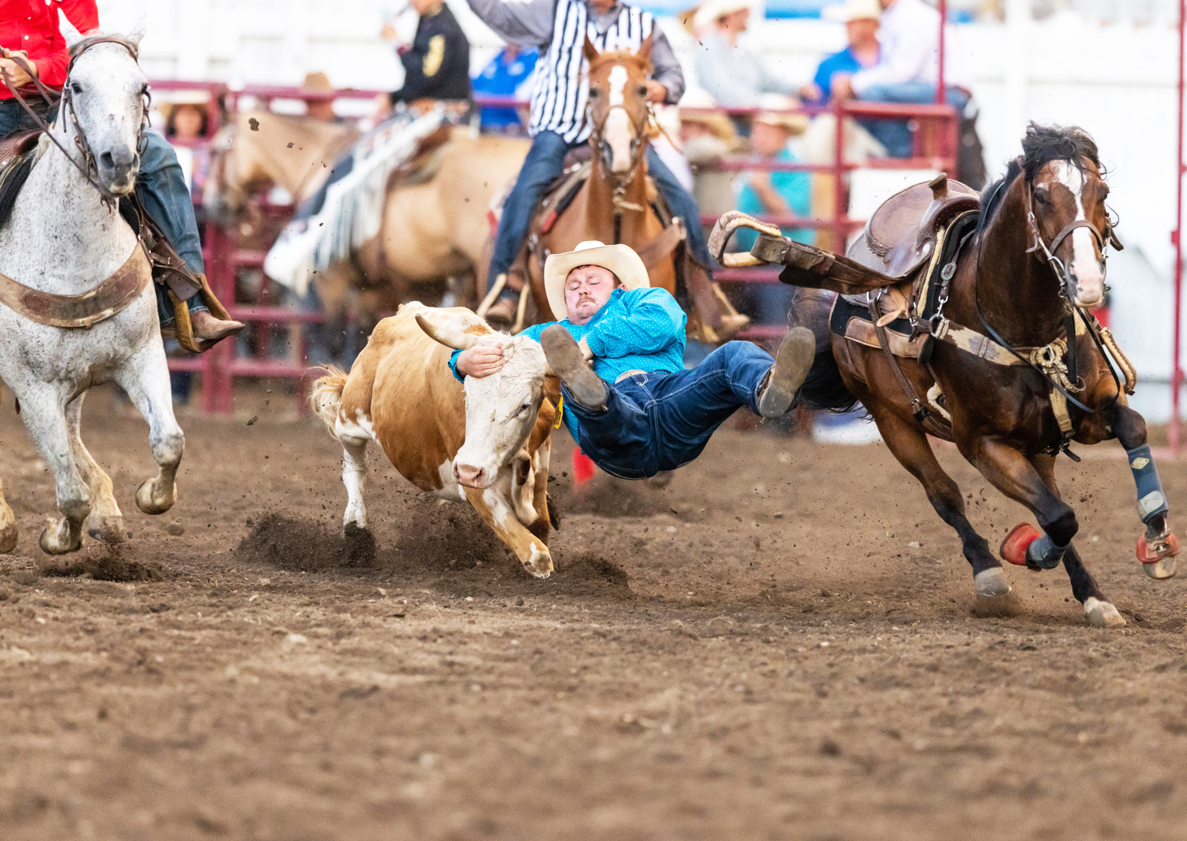 Saddle bronc riding steals the show on day 3 of Gerry Rodeo | News ...